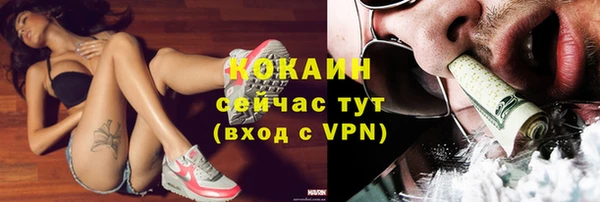 молекула духа Богданович
