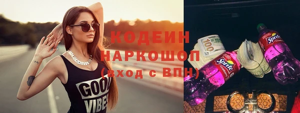 молекула духа Богданович