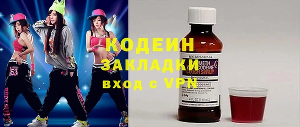 молекула духа Богданович