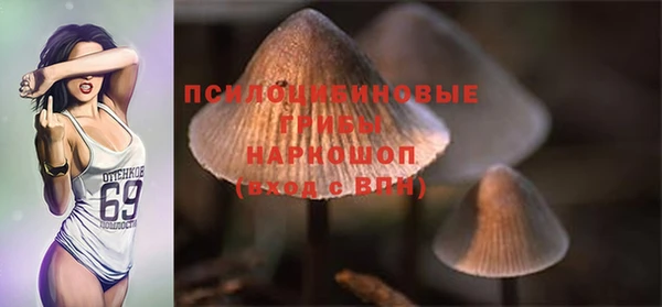 дурь Богородск