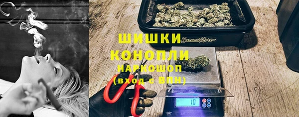 молекула духа Богданович