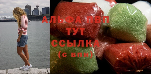 молекула духа Богданович